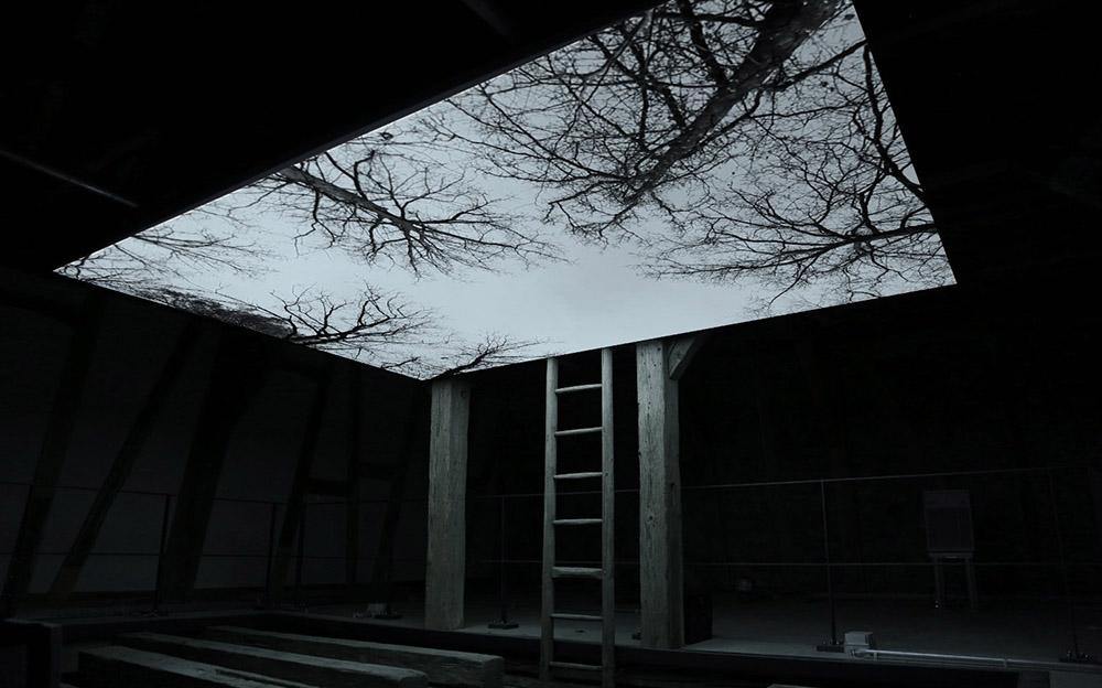 Vanished Tree - Barn | Youki Hirakawa