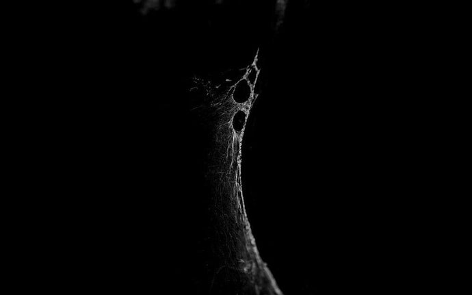 NON-LINEAR PHOTO DIARY | Teri Varhol