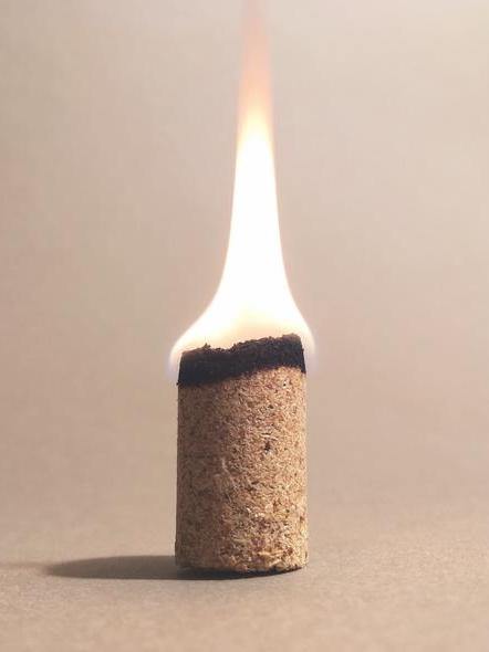 Incausa Palo Santo Hand Pressed Incense Box - FALLOW
