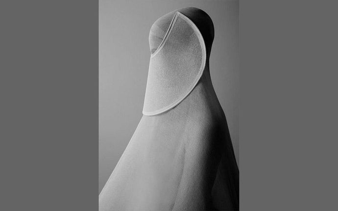 Vedas by Alan Cope and Dustin Edward Arnold