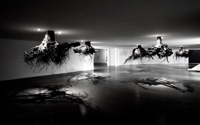 Humus | Tree Roots | Giuseppe Licari