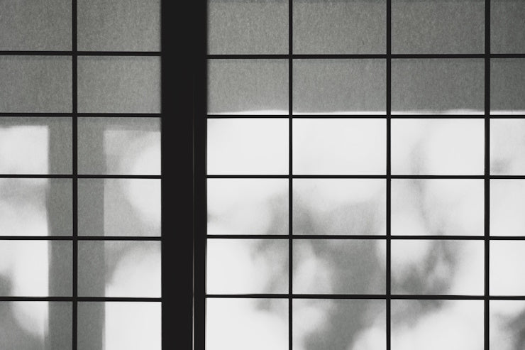 Shinrin-yoku at Fallow