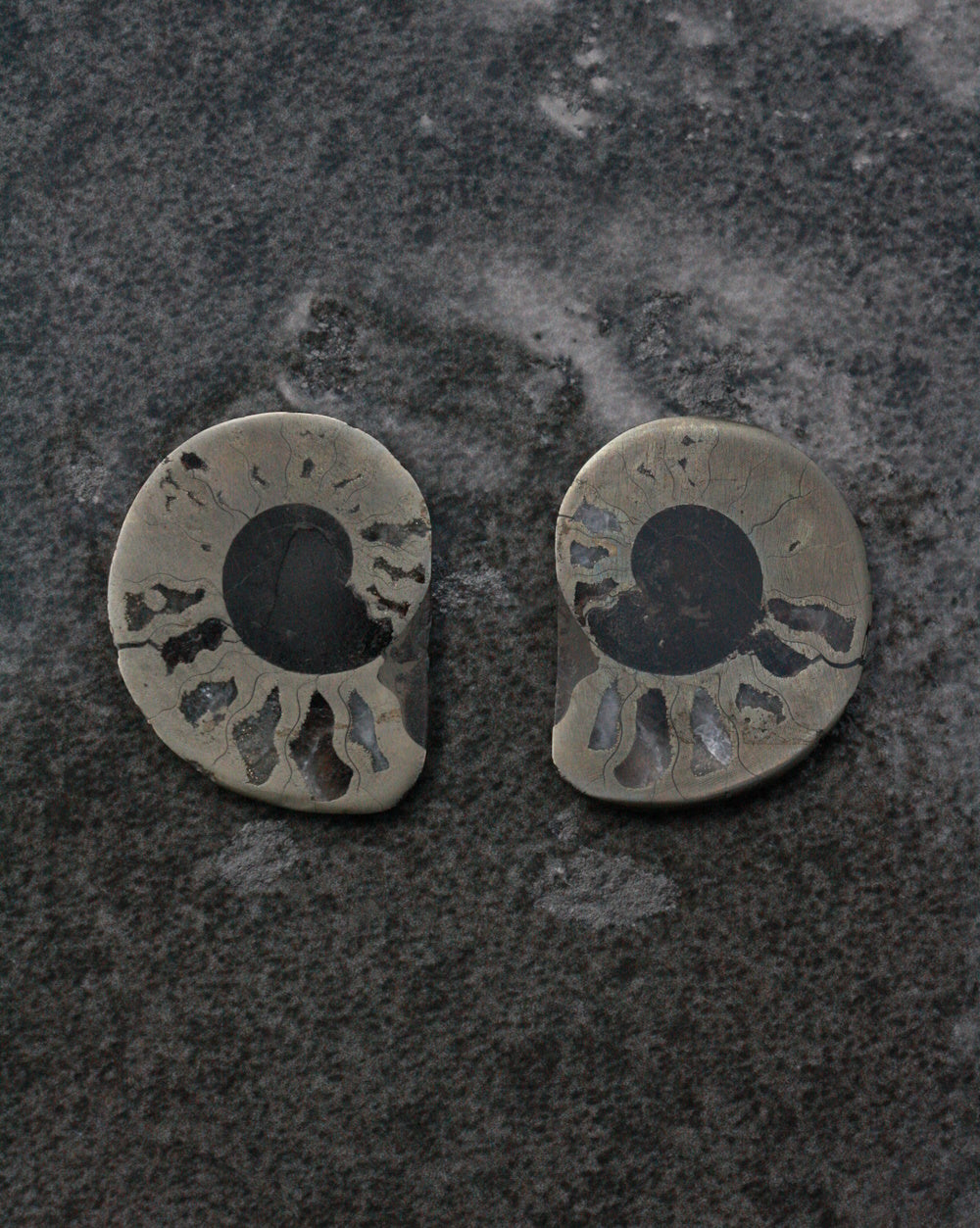 Ammonite Pyrite - Medium Pair