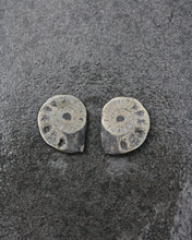 Ammonite Pyrite - Small Pair