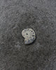 Ammonite Pyrite - Divine Masculine