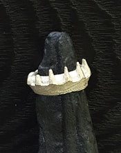 Tundra Silver White Ring